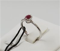 Anello Recarlo Donna Gemma in Oro bianco Rubino 0.48 Ct R33CG251/RB-13 - R33CG251/RB-13